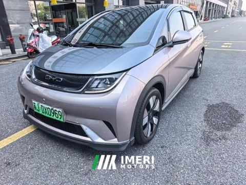 2022 BYD Dolphin 401km Knight Edition - car from China