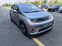 BYD Dolphin 401km Knight Edition - ფოტო 3