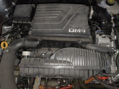 BYD Qin PLUS DM-i 55km Flagship - photo 16