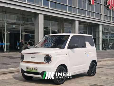 2023 Geely Panda Mini 200km Endurance Edition
