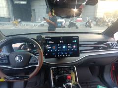 BYD Tang DM-i 1.5T 112KM Precursor Honorable Type - photo 10