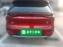 BYD Tang DM-i 1.5T 112KM Precursor Honorable Type - photo 5