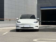 Tesla Model Y Rear-Wheel Drive - ფოტო 2