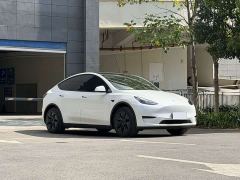 Tesla Model Y Rear-Wheel Drive - ფოტო 3