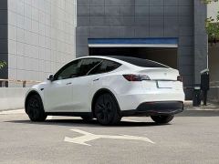 Tesla Model Y Rear-Wheel Drive - ფოტო 6