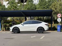 Tesla Model Y Rear-Wheel Drive - ფოტო 7