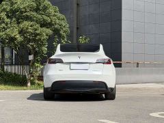 Tesla Model Y Rear-Wheel Drive - ფოტო 8