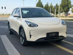 Geely Galaxy Star Wish UP 410km Explorer Edition - фото 1