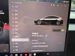Tesla Model 3 Rear-Wheel Drive - photo 18