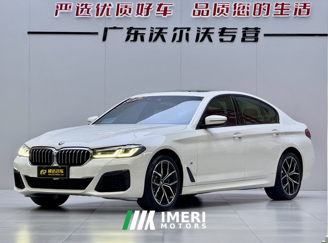 BMW 5 Series (Imported) 530i M Sport Package - ავტომობილი ჩინეთიდან