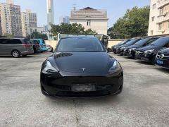 Tesla Model Y Rear-Wheel Drive - photo 2
