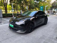 Tesla Model Y Rear-Wheel Drive - фото 1