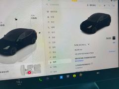 Tesla Model Y Rear-Wheel Drive - фото 4