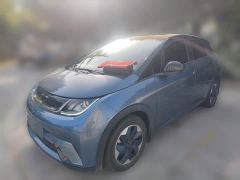BYD Dolphin 420km Freedom Edition - ფოტო 1