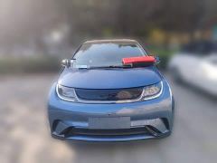 BYD Dolphin 420km Freedom Edition - ფოტო 2