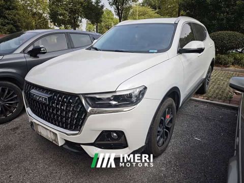 2023 Haval H6 National Trend Edition 1.5T Automatic Urban Version