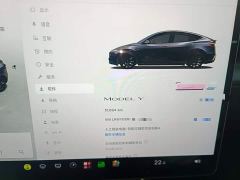 Tesla Model Y Rear-Wheel Drive - фото 11