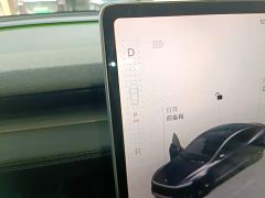 Tesla Model Y Rear-Wheel Drive - фото 13