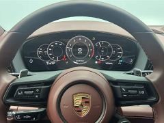 Porsche Panamera 2.9T - ფოტო 9