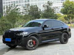 BMW X4 xDrive 25i M Sport Package - ფოტო 1