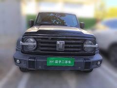 Tank 300 Off-Road Edition 2.0T Conqueror - ფოტო 2