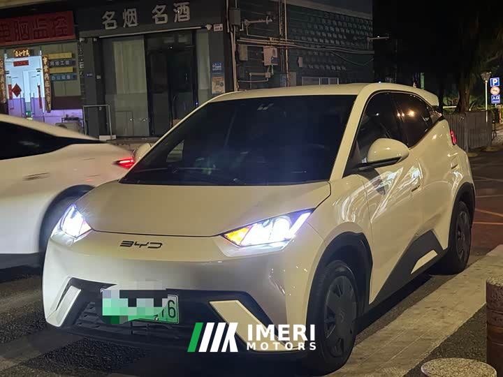 BYD Seagull Freedom Edition - car from China