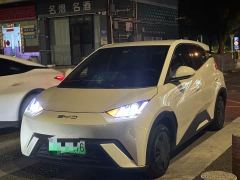 BYD Seagull Freedom Edition - photo 1