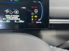 BYD Destroyer 05 Glory Edition DM-i 55KM Luxury - ფოტო 11