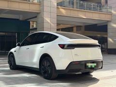 Tesla Model Y Rear-Wheel Drive - ფოტო 11