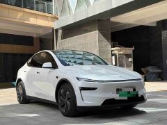 Tesla Model Y Rear-Wheel Drive - ფოტო 3
