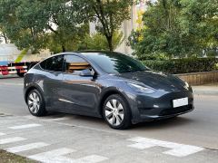 Tesla Model Y Facelift 545km Rear-Wheel Drive Edition - ფოტო 4