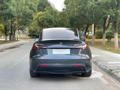 Tesla Model Y Facelift 545km Rear-Wheel Drive Edition - ფოტო 9