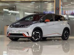 BYD Dolphin 405km Stylish Edition - photo 4