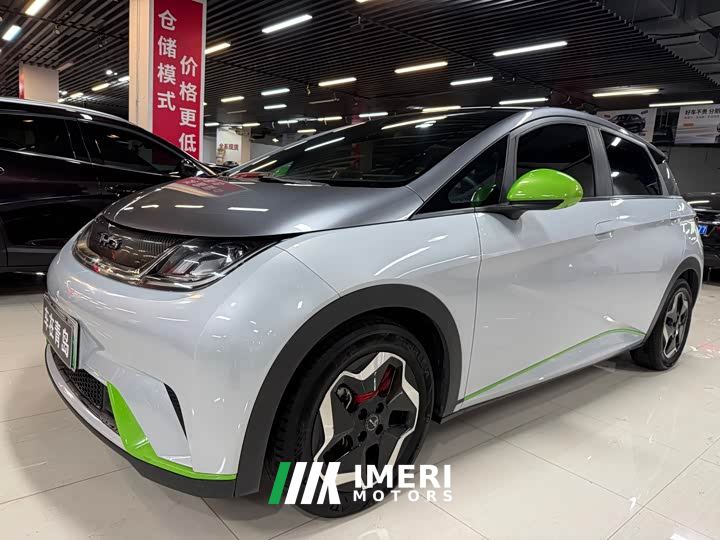BYD Dolphin 405km Fashion Edition - ავტომობილი ჩინეთიდან