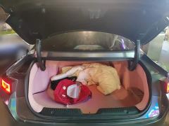 Changan Eado 1.5T GDI Automatic Flagship - фото 20