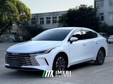 2024 BYD Destroyer 05 Glory Edition DM-i 55KM Luxury - автомобиль из Китая
