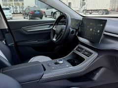 BYD Destroyer 05 Glory Edition DM-i 55KM Luxury - ფოტო 11
