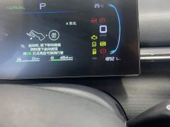 BYD Destroyer 05 Glory Edition DM-i 55KM Luxury - ფოტო 12