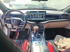 BYD Qin Plus DM-i 120KM Flagship - ფოტო 5