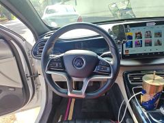 BYD Qin Plus DM-i 120KM Flagship - ფოტო 6