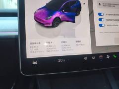 Tesla Model Y Rear-Wheel Drive - ფოტო 11