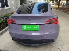 Tesla Model Y Rear-Wheel Drive - ფოტო 5
