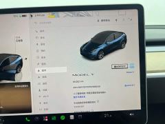Tesla Model Y Rear-Wheel Drive - ფოტო 12
