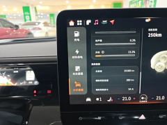 smart Spirit #3 520km AWD Pulse - ფოტო 14