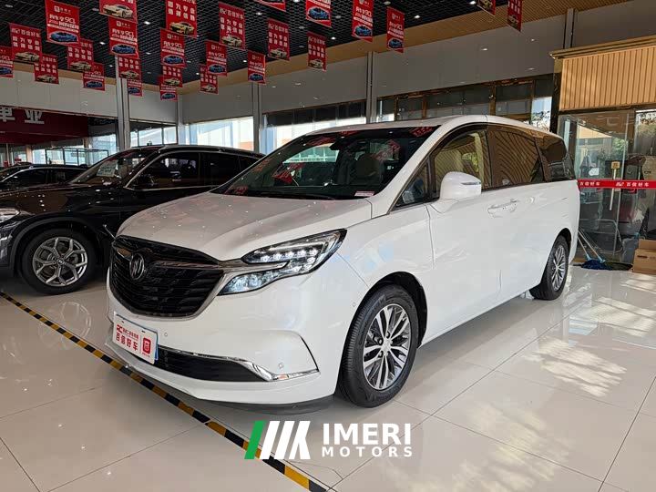 Buick GL8 ES Luxe 653T Prestige - car from China