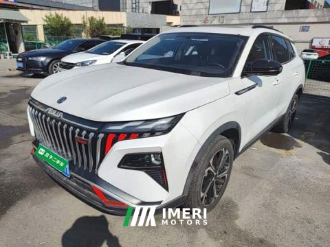 2024 Dongfeng Haoji Mach Power 1.5T Luxury - car from China