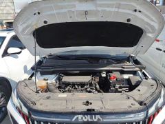 Aeolus Haoji Mach Power 1.5T Luxury - фото 19