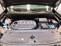 Ford Lingrui EcoBoost 170 Supreme Executive Edition - photo 19
