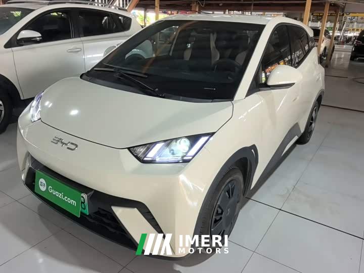 BYD Seagull Glory Edition 305km Freedom Version - ავტომობილი ჩინეთიდან