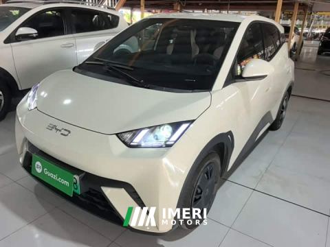 2024 BYD Seagull Glory Edition 305km Freedom Version - автомобиль из Китая